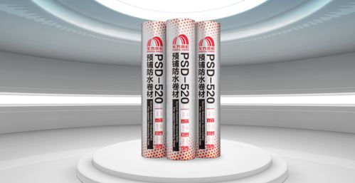 東方雨虹 在擔當實干中奮力書寫高質(zhì)量發(fā)展新篇章