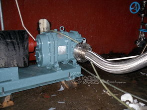 供應高效率不銹鋼食品泵 力華高粘度輸送泵