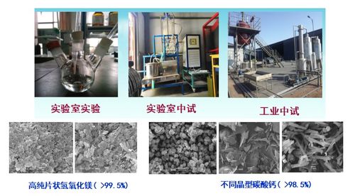 電石凈化灰渣資源化利用制備高純氧化鎂和碳酸鈣技術與非常規水源利用技術研發