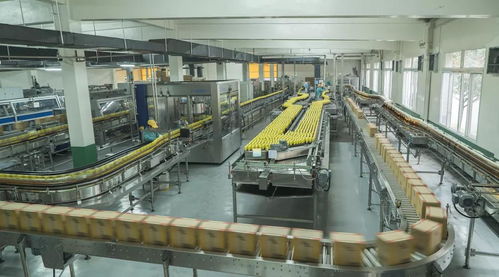 鹽漬液重生記 眉山科技創(chuàng)新如何實(shí)現(xiàn)污泥變?nèi)剂吓c非常規(guī)水源循環(huán)利用